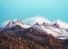 乐鱼体育登入-全明星投篮之星大赛 尼克斯队击败卡梅隆队夺冠